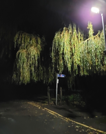 Tour #106 Wednesday 21st January 2026 - The Haunted Table